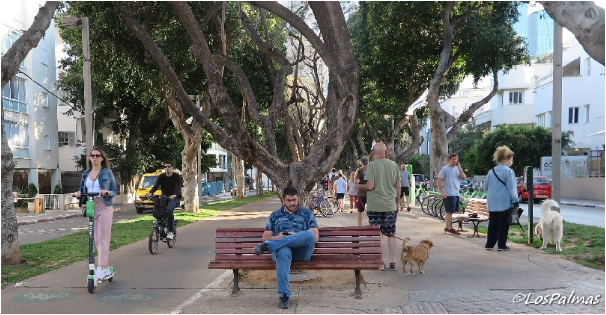 Avenidas de dos sentidos en Tel Aviv