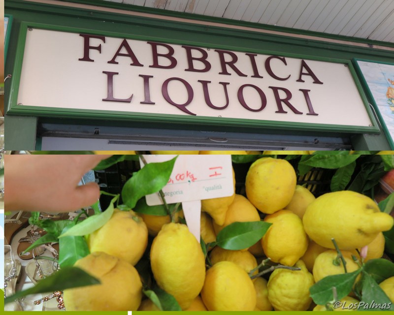 Limones y limoncello en Sorrento