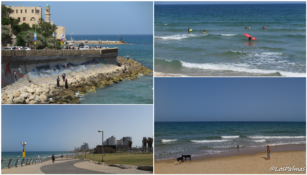 Playa Tel Aviv Israel mar beach