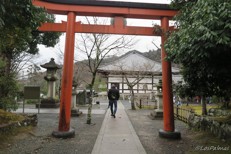 Templo_Tenryuij_Arashiyama_Kioto_Kyoto_Torii