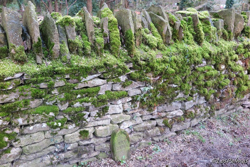 Muro Bibury Cotswolds Inghilterra